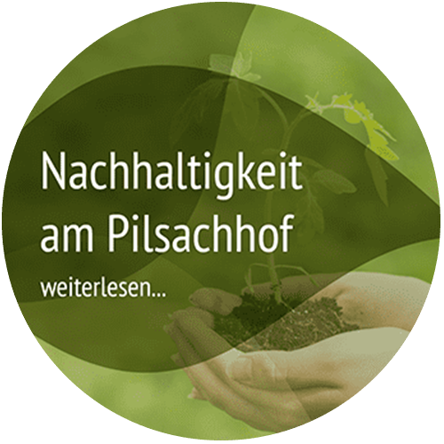 nachhaltig reisen in Österreich Pension Pilsachhof Kärnten